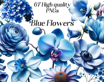 Clipart de flores azules en acuarela: 67 ilustraciones florales PNG (descarga digital)