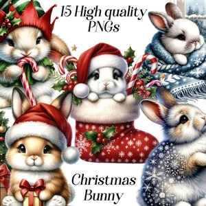 May include: A set of 15 digital images featuring cute cartoon bunnies dressed in festive Christmas attire. The bunnies are wearing Santa hats, elf hats, and scarves. Some are holding candy canes and others are sitting in a stocking. The images are perfect for creating holiday crafts, cards, and decorations.