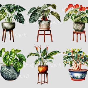 Pu&ograve; includere: Sei diverse piante in vaso con varie foglie verdi e fiori. Le piante sono in vasi di diversi colori e sono su supporti in legno.
