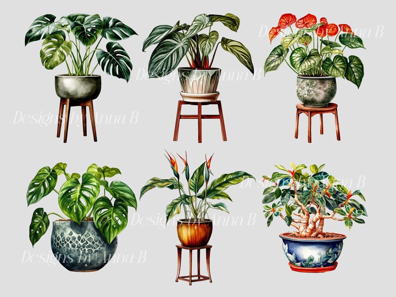 Pu&ograve; includere: Sei diverse piante in vaso con varie foglie verdi e fiori. Le piante sono in vasi di diversi colori e sono su supporti in legno.