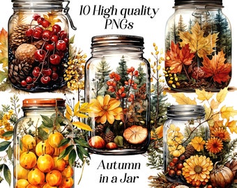 Watercolor Autumn Jar Clipart: Fall Foliage PNG Graphics (Digital Download)
