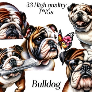 English Bulldog Clipart - Cute Bulldog PNG, Pet Dog Illustration, Bulldog Digital Art, Puppy Clipart Download