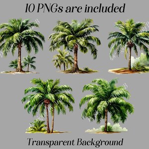 May include: Ten digital images of palm trees with a transparent background. The trees are drawn in a watercolor style with green leaves and brown trunks.