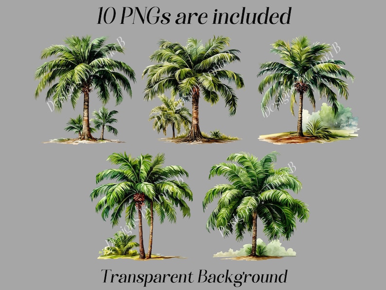 May include: Ten digital images of palm trees with a transparent background. The trees are drawn in a watercolor style with green leaves and brown trunks.
