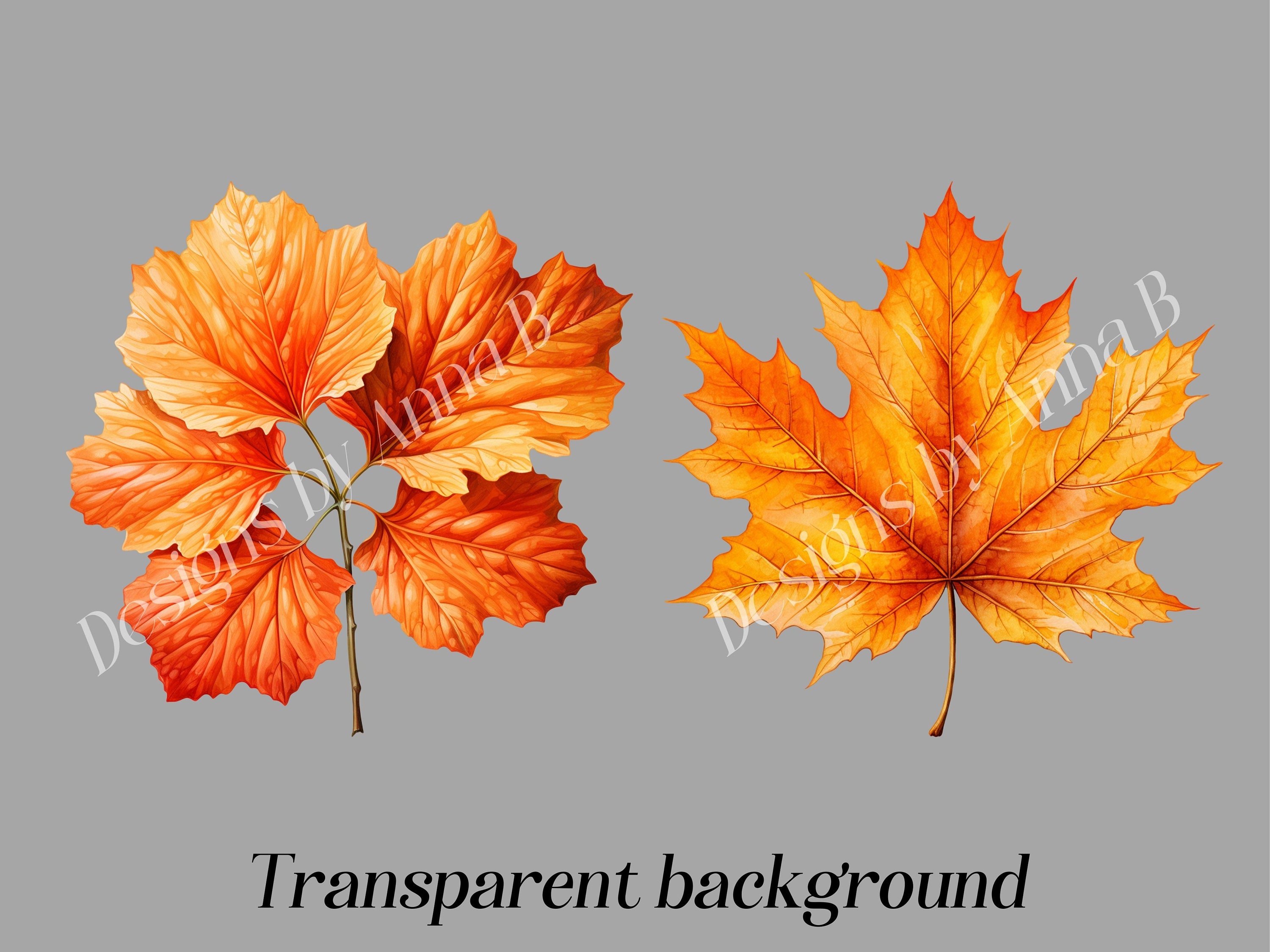 Autumn Leaves Clipart: Rustic Fall Foliage PNG (digital Download) - Etsy