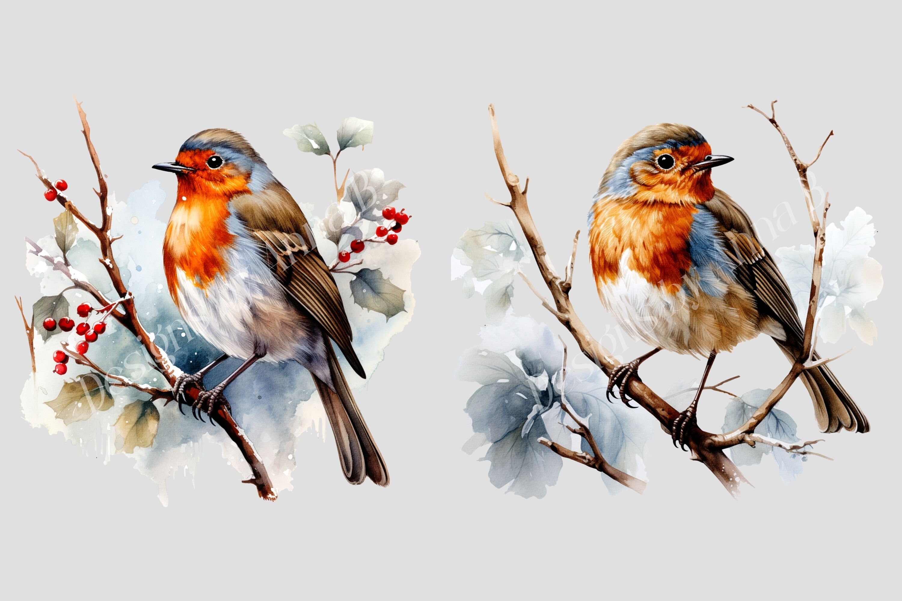 Watercolor Winter Robin Clipart: 10 PNG Bird Illustrations (digital ...
