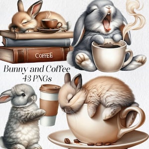 Imágenes prediseñadas de conejito y café, imágenes prediseñadas de conejo dormido lindo de acuarela, png, amante del café, animales, conejito cansado, gráficos digitales, imprimibles