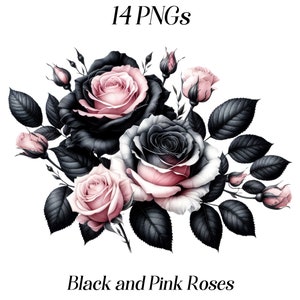 水彩画の黒とピンクのバラのクリップアート、14 個の PNG ファイル、花の画像、バラのクリップアート、花の構図、植物のイラスト、印刷可能