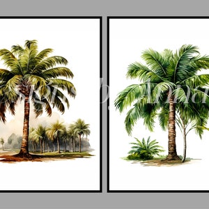May include: Two watercolor paintings of palm trees. The first painting shows a single palm tree in the foreground with a row of palm trees in the background. The second painting shows a single palm tree with a smaller palm tree in the foreground.