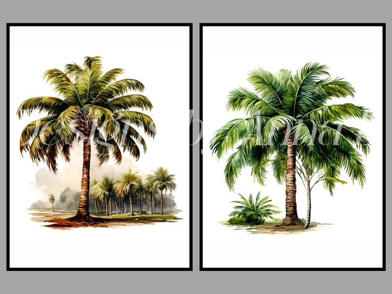 May include: Two watercolor paintings of palm trees. The first painting shows a single palm tree in the foreground with a row of palm trees in the background. The second painting shows a single palm tree with a smaller palm tree in the foreground.