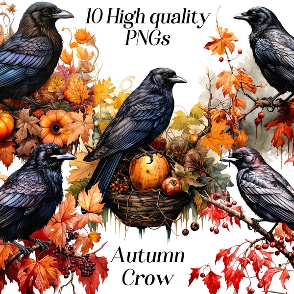 Watercolor crow in autumn clipart, 10 high quality PNG files, raven clip art, sublimation design, black bird illustration, printables
