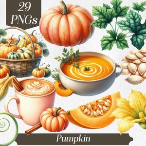 Imágenes prediseñadas de calabaza, calabaza de otoño, rodaja de calabaza, sopa, imágenes prediseñadas de otoño, planta de calabaza, semillas de calabaza, imágenes prediseñadas de cosecha, calabaza de acuarela, arte