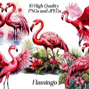 Flamingo Clipart, Aquarell rosa Flamingo, png, exotischer Vogel, tropisch, Blumen, Natur, digitaler Download, druckbare Bilder