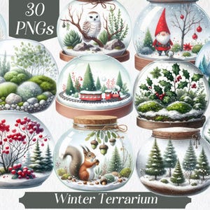 Imágenes prediseñadas de terrario de invierno: terrario de vidrio helado PNG, escenas de invierno acogedoras, conjunto de imágenes prediseñadas de decoración botánica y navideña