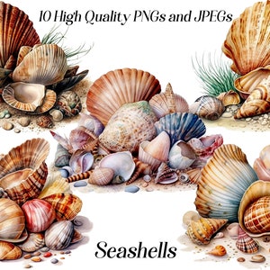 Imágenes prediseñadas de conchas marinas de acuarela, 10 archivos JPEG y PNG de alta calidad, imágenes prediseñadas náuticas, imágenes prediseñadas del mar del océano, imágenes prediseñadas de la playa de verano, imprimibles