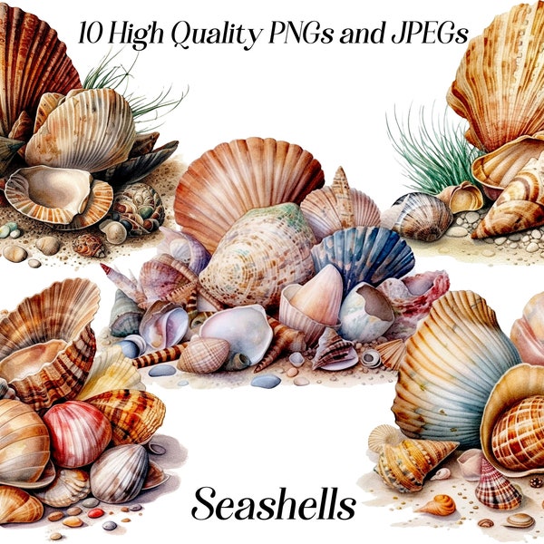 Watercolor seashells clipart, 10 high quality JPEG and PNG files, Nautical clip art, ocean sea clipart, summer beach clipart, printables