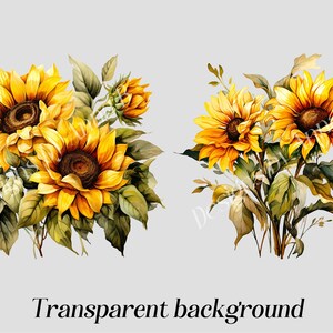 May include: Two bouquets of sunflowers with green leaves. The sunflowers are yellow with brown centers.