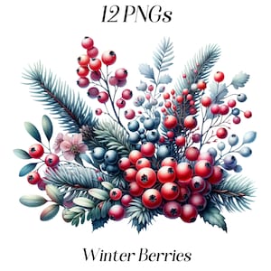 Clipart aquarelle de baies d'hiver, 12 fichiers PNG, baies, branches, clipart botanique, plantes, plantes d'hiver, fruits rouges, produits à imprimer