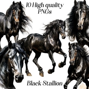 Imágenes prediseñadas de caballo, imágenes prediseñadas de caballo de acuarela, png, caballo negro, caballo de granja, semental negro, descarga digital, imprimible, ilustración