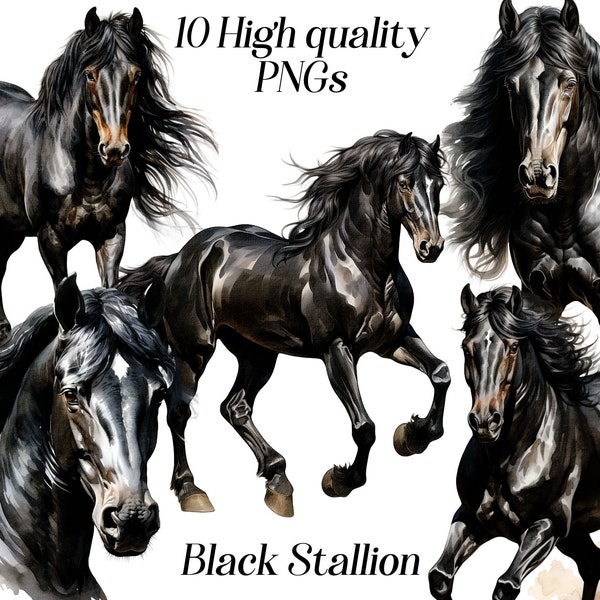 Aquarelle clipart étalon noir, 10 fichiers PNG de haute qualité, clipart cheval noir, illustration de cheval, graphiques imprimables