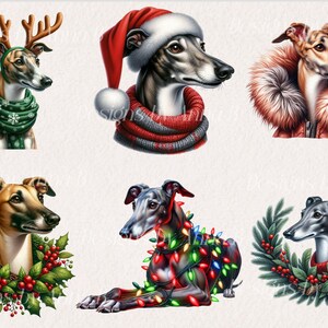 May include: Six illustrations of greyhounds wearing festive holiday attire. The greyhounds are wearing a Santa hat, a green scarf with snowflakes, a red and white scarf, a brown fur coat, a wreath of holly and berries, and a string of Christmas lights.