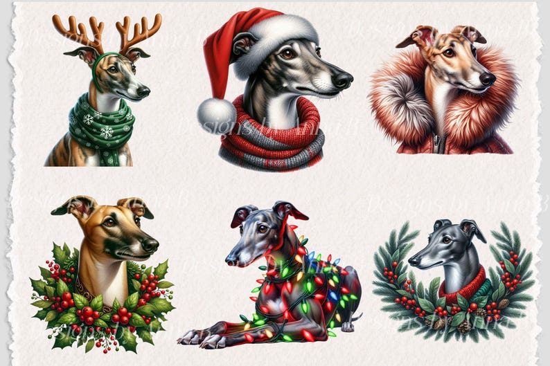 May include: Six illustrations of greyhounds wearing festive holiday attire. The greyhounds are wearing a Santa hat, a green scarf with snowflakes, a red and white scarf, a brown fur coat, a wreath of holly and berries, and a string of Christmas lights.
