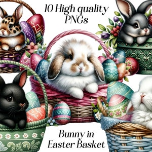 Coelho aquarela na cesta de Páscoa clipart, 10 arquivos PNG de alta qualidade, clipart de páscoa, coelho fofo, clipart de bebê animal, imagem de cesta de primavera