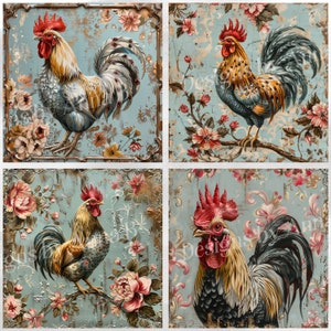 Rooster Shabby Chic Digital Paper, 16 High Quality JPEG Files, Chicken ...