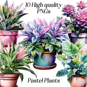 Aquarel pastel planten clipart, 10 hoge kwaliteit PNG-bestanden, potplant, kamerplanten, botanisch, groen, afdrukbare afbeeldingen