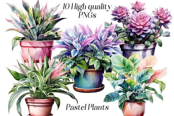 Watercolor Pastel Plants Clipart: Potted Indoor Greenery (PNG Files)