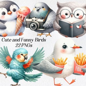 Imágenes prediseñadas de pájaros lindos, imágenes prediseñadas de pájaros divertidos de acuarela, png, ilustración de pájaros caprichosos de dibujos animados, paloma, pingüino, búho, gaviota, loro