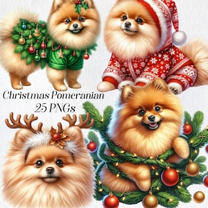 Imágenes prediseñadas de Pomerania navideña, imágenes prediseñadas de Pomerania en acuarela, png, razas de perros festivas, vacaciones de invierno, cachorro navideño, gráficos digitales