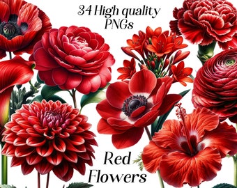 Clipart de flores rojas en acuarela: 34 ilustraciones florales PNG (descarga digital)