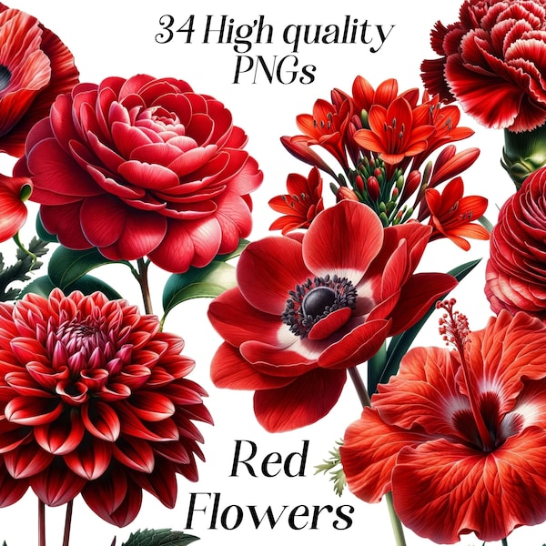 Watercolor Red Flowers clipart, 34 high quality PNG files, red florals, botanical graphics, flower with stem, summer flowers, illustration