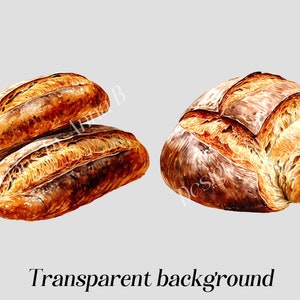 May include: Two loaves of freshly baked bread. One loaf is a long, thin baguette, while the other is a round loaf with a crusty exterior and a soft, fluffy interior.