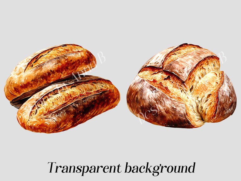 May include: Two loaves of freshly baked bread. One loaf is a long, thin baguette, while the other is a round loaf with a crusty exterior and a soft, fluffy interior.