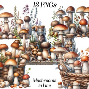 Aquarel paddestoelen clipart, 13 png-bestanden, rij paddenstoelen, rustieke illustraties, schimmels, bosplanten, herfstplanten, cottagecore, afdrukbaar