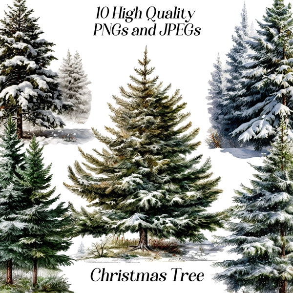 Watercolor Christmas tree clipart, 10 high quality JPEG and PNG files, pine tree clip art, winter Christmas tree illustration, printables