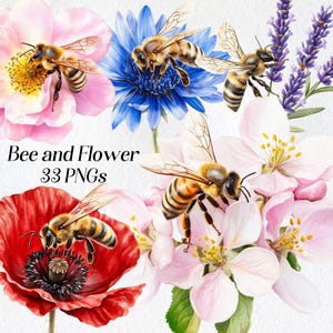 Bee and Flower clipart, watercolor honey bee clip art, floral bees png, printable illustration, digital download, commercial use