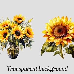 May include: Two watercolor illustrations of sunflowers. One image shows a bouquet of sunflowers in a clear glass vase. The other image shows a single sunflower with green leaves.