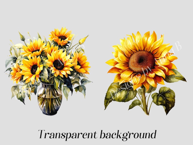 May include: Two watercolor illustrations of sunflowers. One image shows a bouquet of sunflowers in a clear glass vase. The other image shows a single sunflower with green leaves.