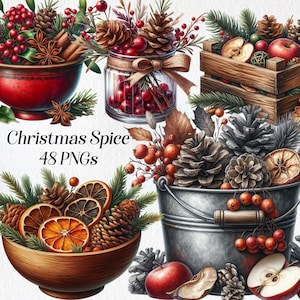 Clipart d'épices de Noël, clipart pot-pourri, png aquarelle, herbes festives, vacances d'hiver, illustration de Noël rustique, imprimable, numérique