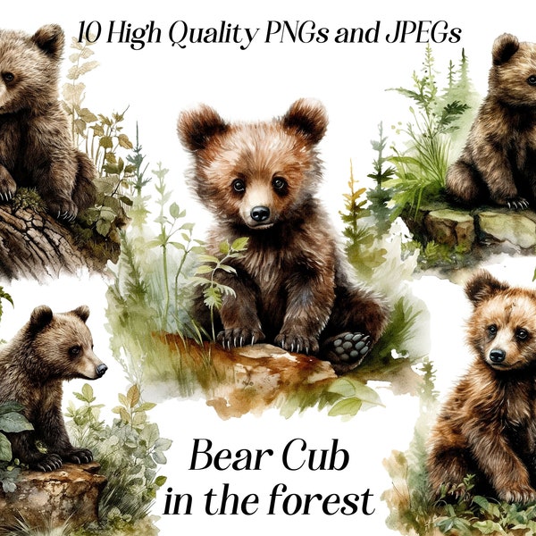 Watercolor baby bear clipart, 10 high quality JPEG and PNG files, woodland animals clipart, cute bear cub clip art, forest scene, printables