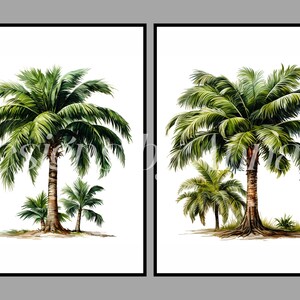 May include: Two watercolor paintings of palm trees. The first painting features a large palm tree with two smaller palm trees in the foreground. The second painting features a large palm tree with a smaller palm tree in the foreground.