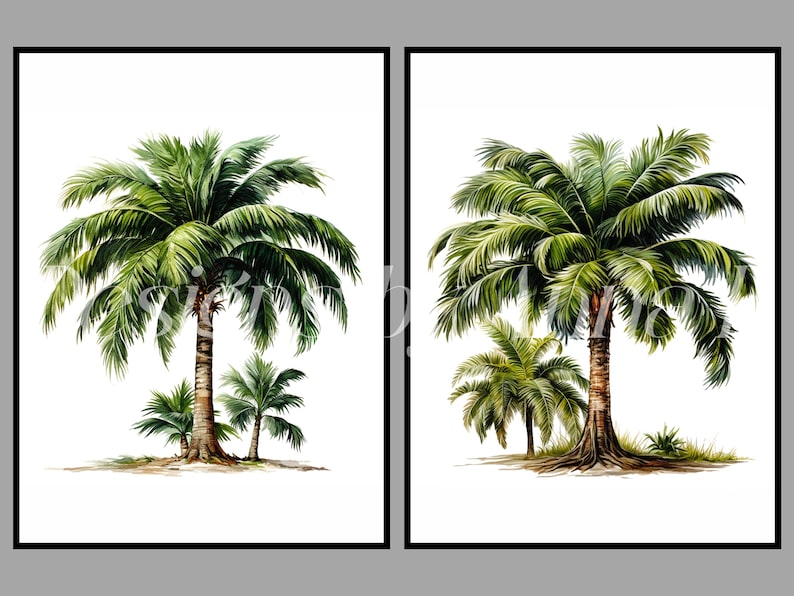 May include: Two watercolor paintings of palm trees. The first painting features a large palm tree with two smaller palm trees in the foreground. The second painting features a large palm tree with a smaller palm tree in the foreground.