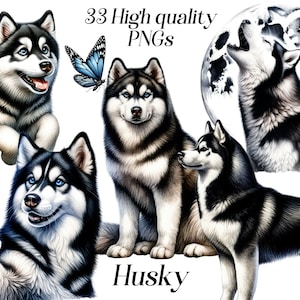 Husky Clipart, Clip Art Aquarell Siberian Husky, png, Husky, Hunderassen, Illustration, digitale Grafiken, Hundeliebhaber, druckbare Bilder
