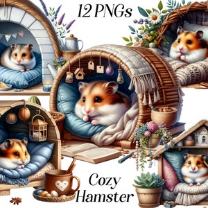 Clipart aquarelle confortable hamster, 12 fichiers PNG, animal de compagnie mignon, hiver douillet, illustration de hamster, animaux mignons, graphiques imprimables, animaux endormis