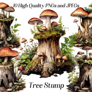 Aquarel boomstronk clipart, 10 hoge kwaliteit jpeg- en png-bestanden, bosillustraties, boom met paddenstoelen, bosillustratie, printables
