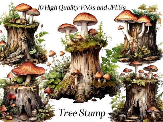 Watercolor Tree Stump Clipart: Forest Illustration (JPEG, PNG)