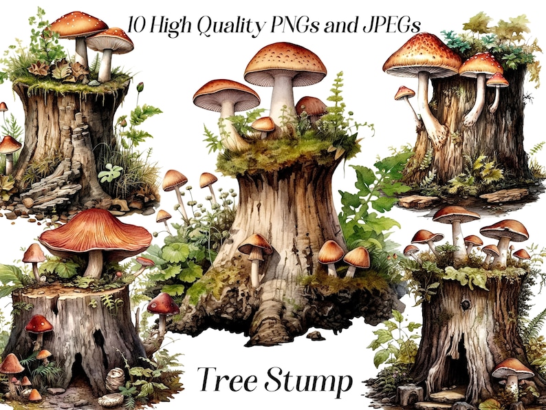 May include: Ten high-quality PNG and JPEG images of tree stumps with mushrooms growing on them. The stumps are brown and weathered, and the mushrooms are red and white with brown spots. The images are perfect for use in digital scrapbooking, card making, and other craft projects.